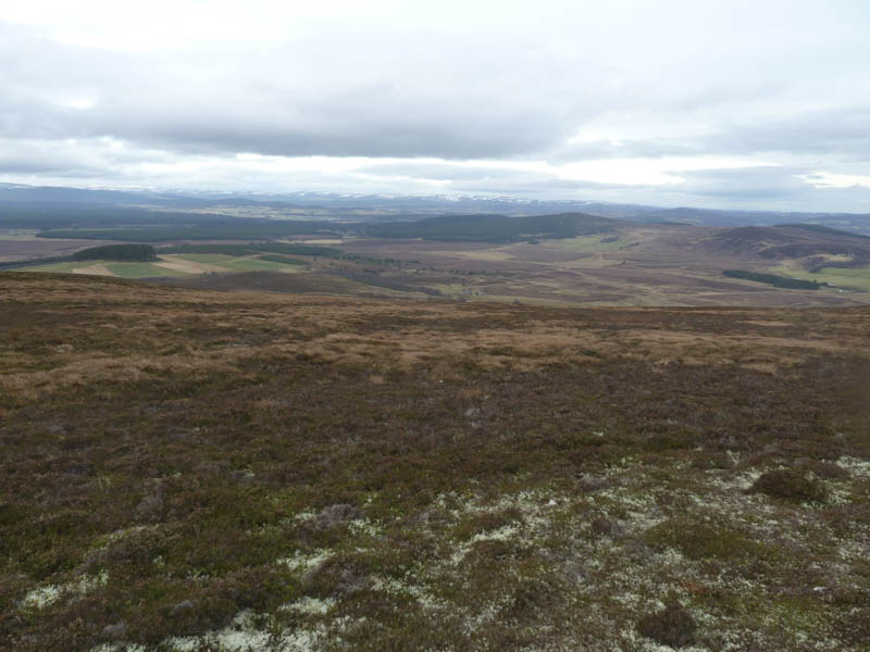 Abernethy Forest and Strath Spey