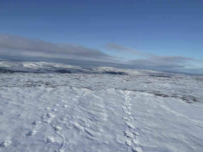 Glen Gheallaidh and Paul's Hill Windfarm