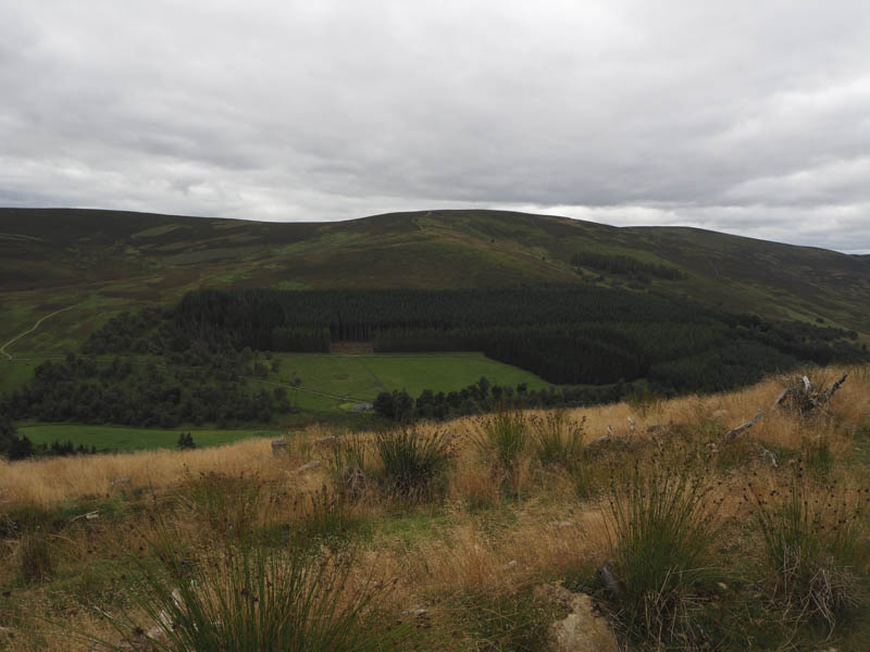 Across Glen Prosen to Hill of Adenaich