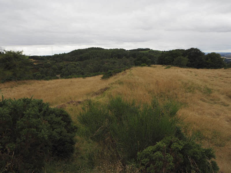 Hill of Finavon