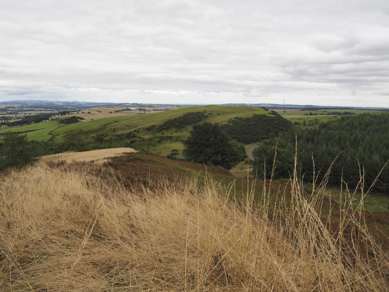 Nine Wells, Hill of Finavon