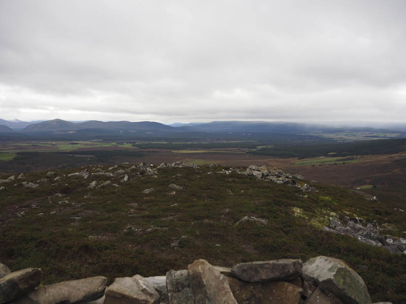 Abernethy Forest and towards Aviemore