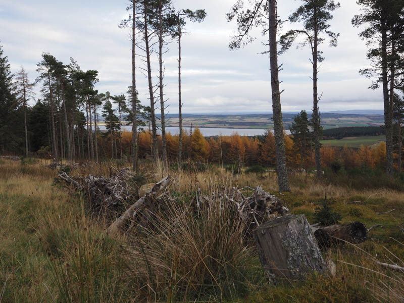 Cromarty Firth and the Black Isle from Swordale Hill