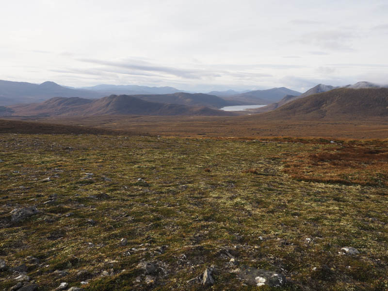 Carn na Beiste, Meallan Buidhe and Loch Fannich