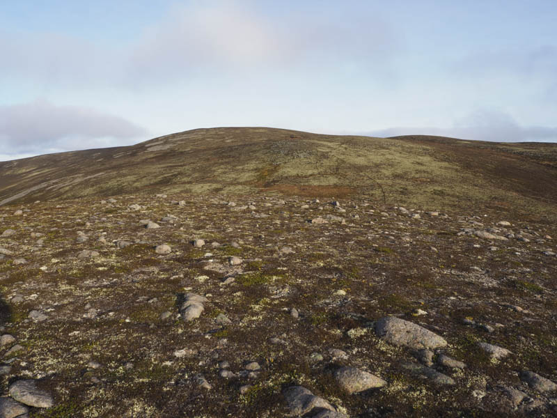 Geal-charn Mor