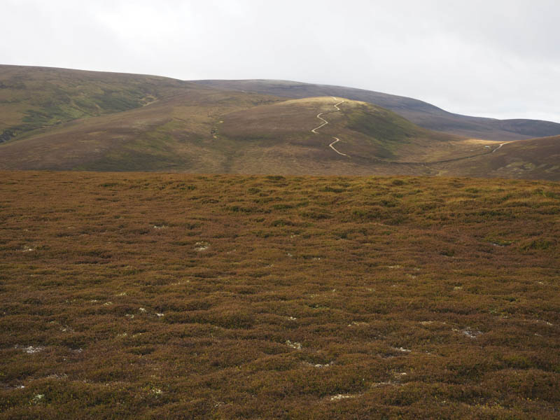 Geal Charn Beag