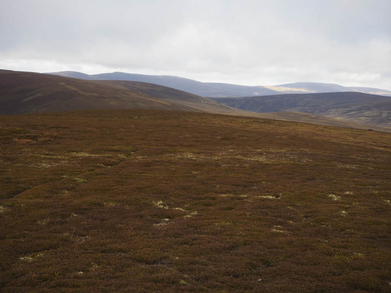 Hills of Cromdale in the distance