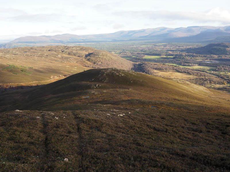 Craigellachie. Meall a' Bhuchaille beyond