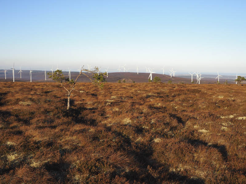 Cairn Uish amongst the wind turbines