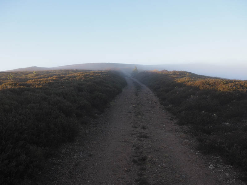 Track to Roy's Hill on emerging from the low cloud