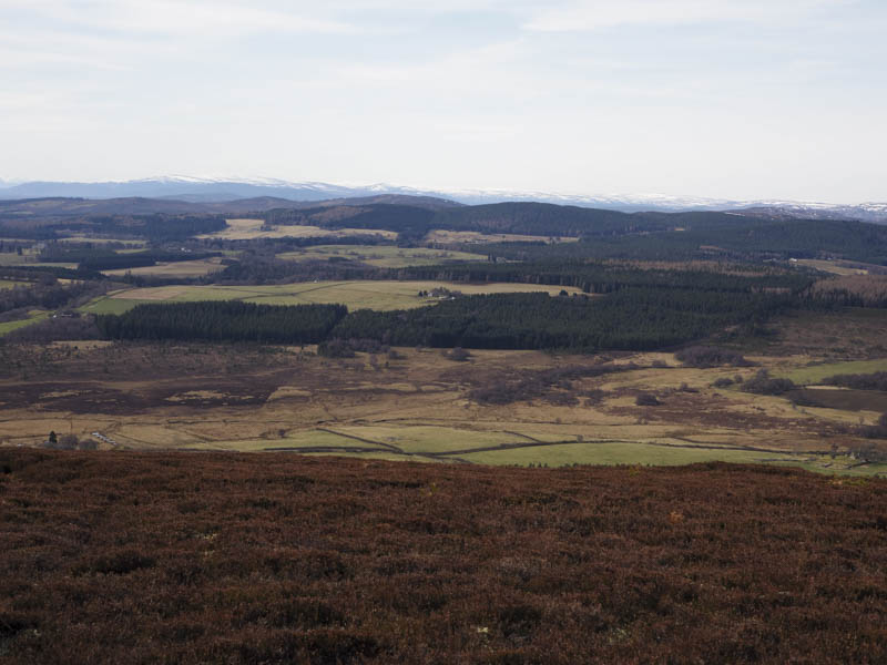 Monadhliath Mountains in the distance