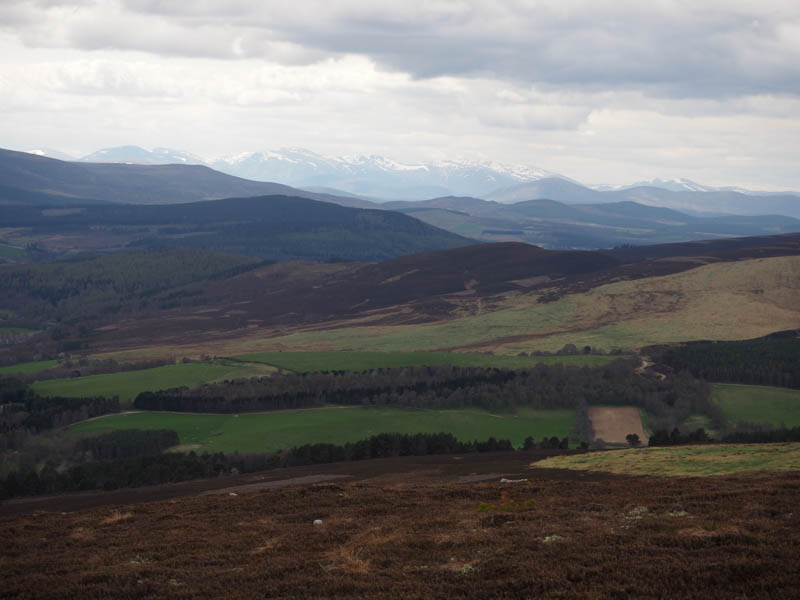 Cairngorms in the distance