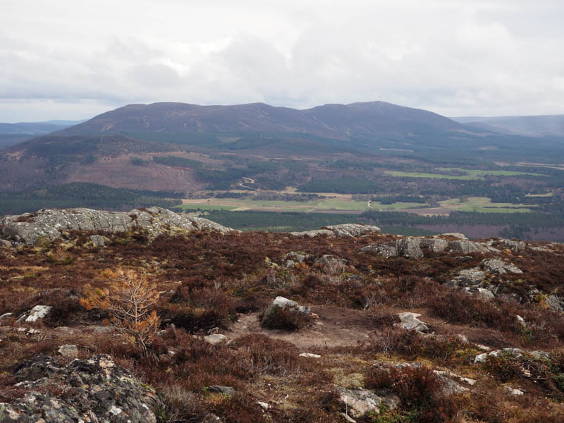 Across Strathspey to Meall a' Bhuachaille