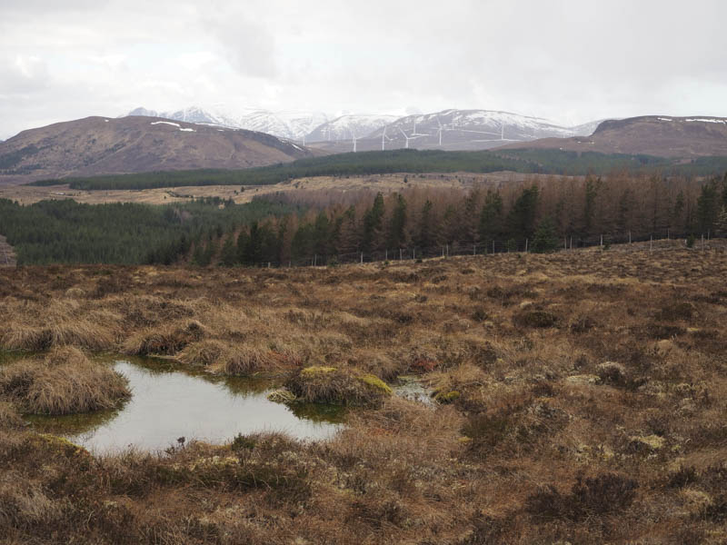 Beinn a' Bhric. Fannichs beyond