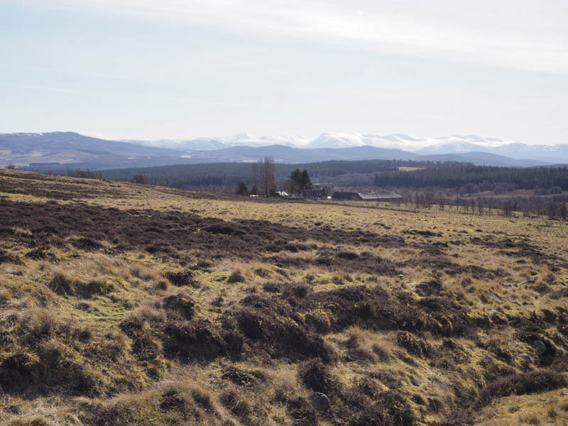 Knock of Auchnahannet. Cairngorms beyond