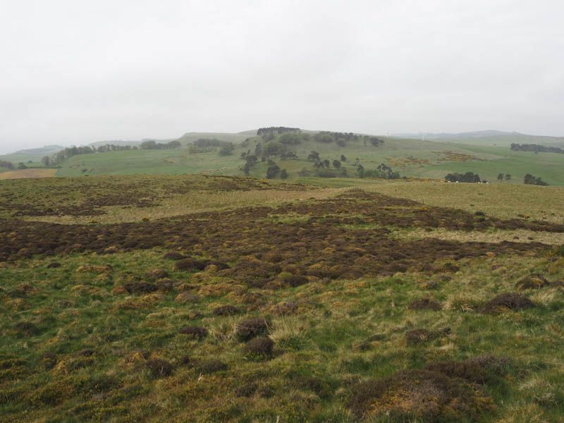 Beal Hill