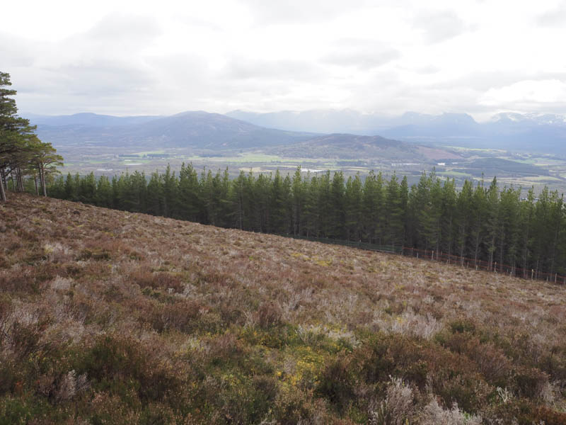 Strath Spey and the Cairngorms