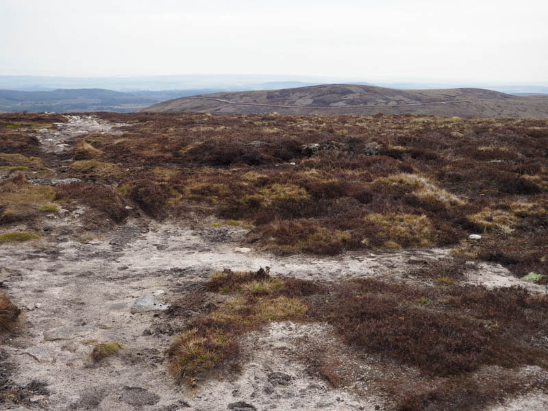 Carn a' Choire Odhair