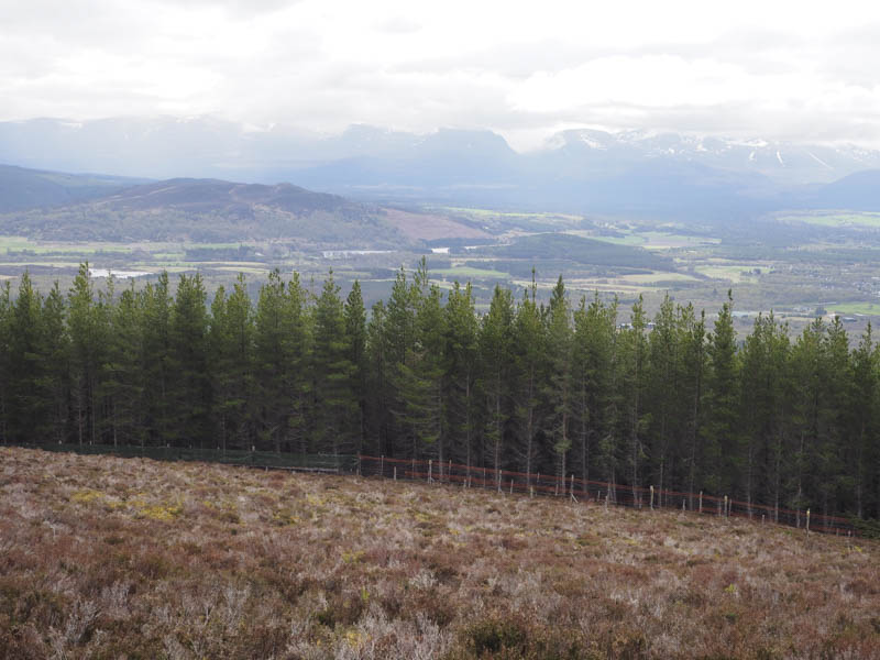 River Spey and the Cairngorms