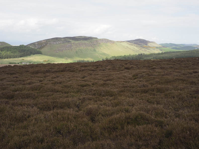 Black Hill and King's Seat