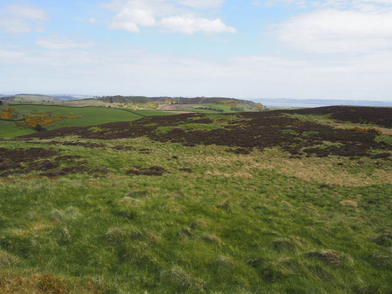 Pitmiddle Hill and the River Tay