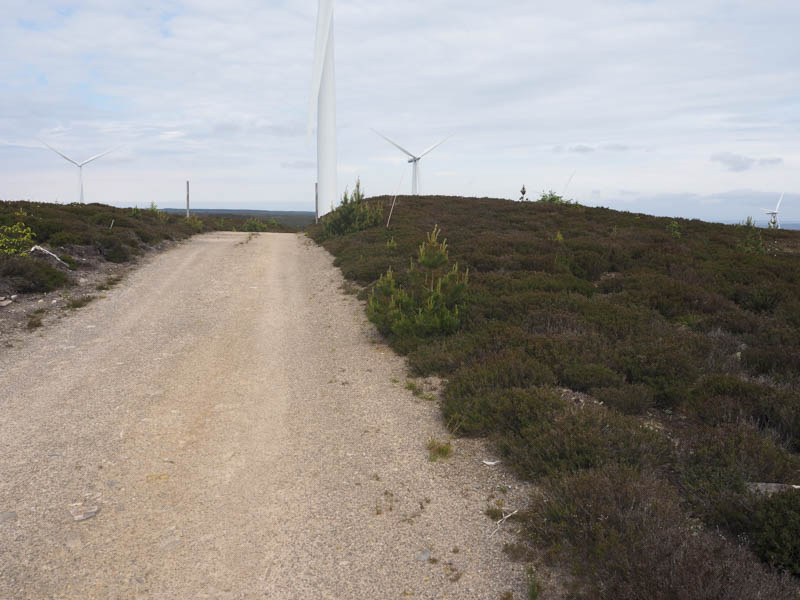 Summit area Carn Uish