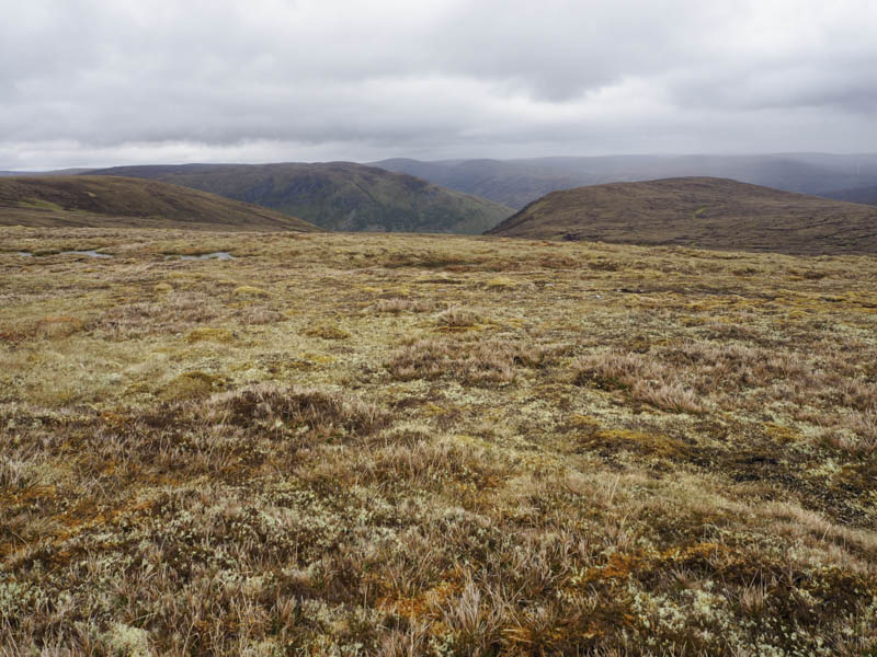 Carn a' Choire Ghlaise above Glen Markie