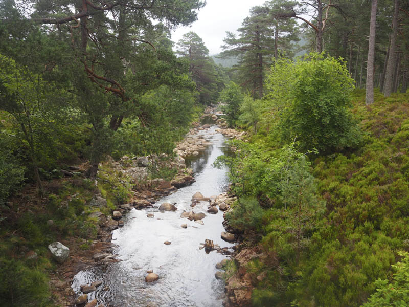 Water of Tanar low