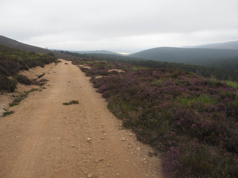 Back towards Glen Tanar