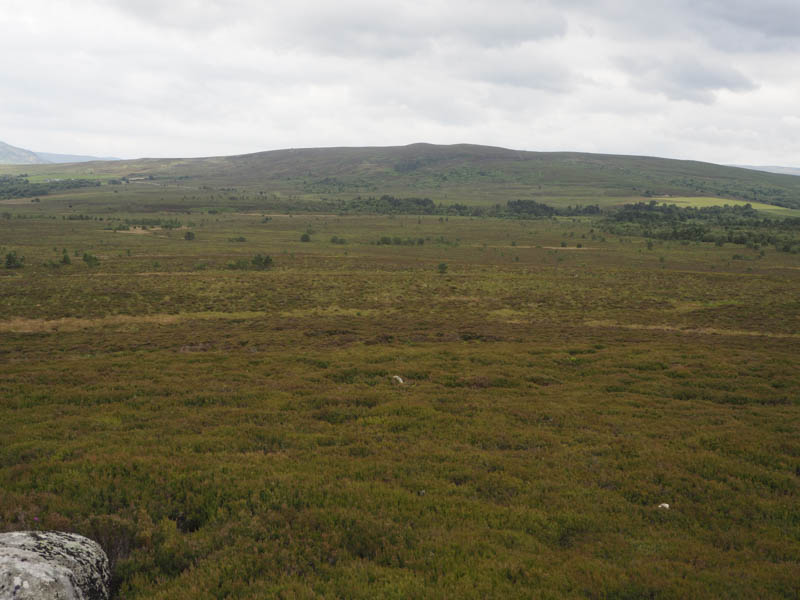 Hill of Aitnoch