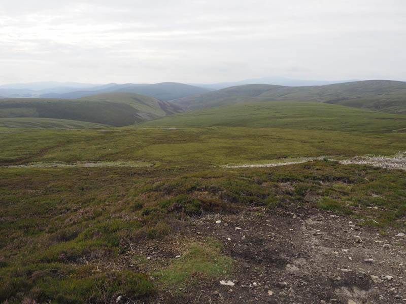 View back down glen. Ladylea Hill beyond