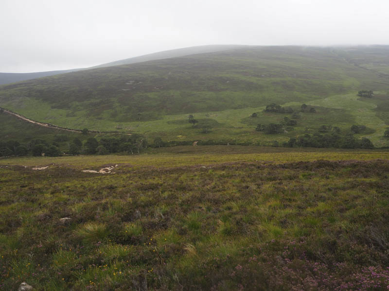 Little Cockcairn