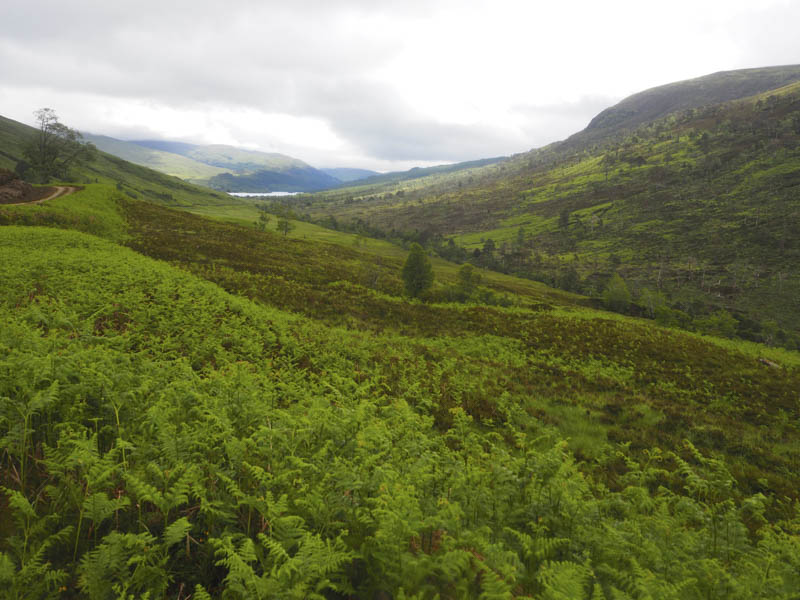 View back down Glen Mallie to Loch Arkaig