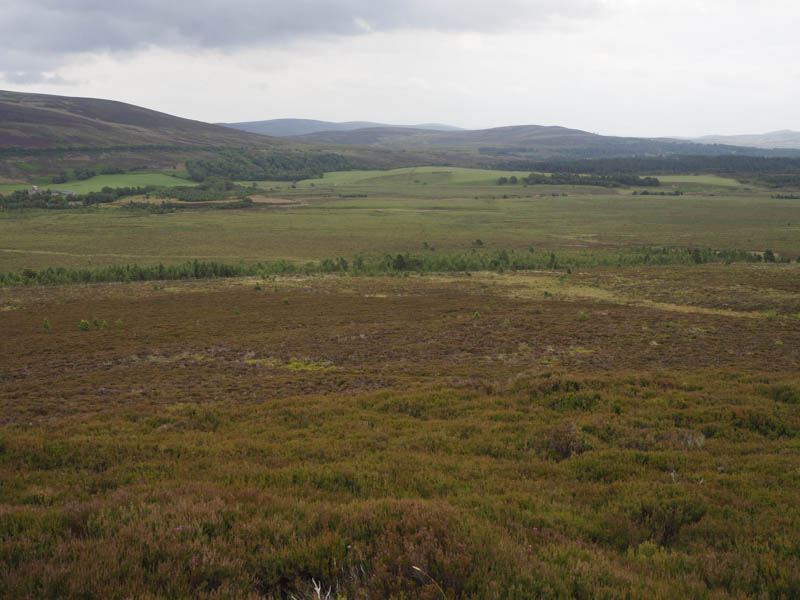 Carn Biorach