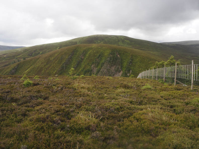 Carn Mheadhoin and Carn na h-Ailig