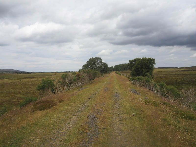 Old Railway Line Grantown to Forres now the Dava Way