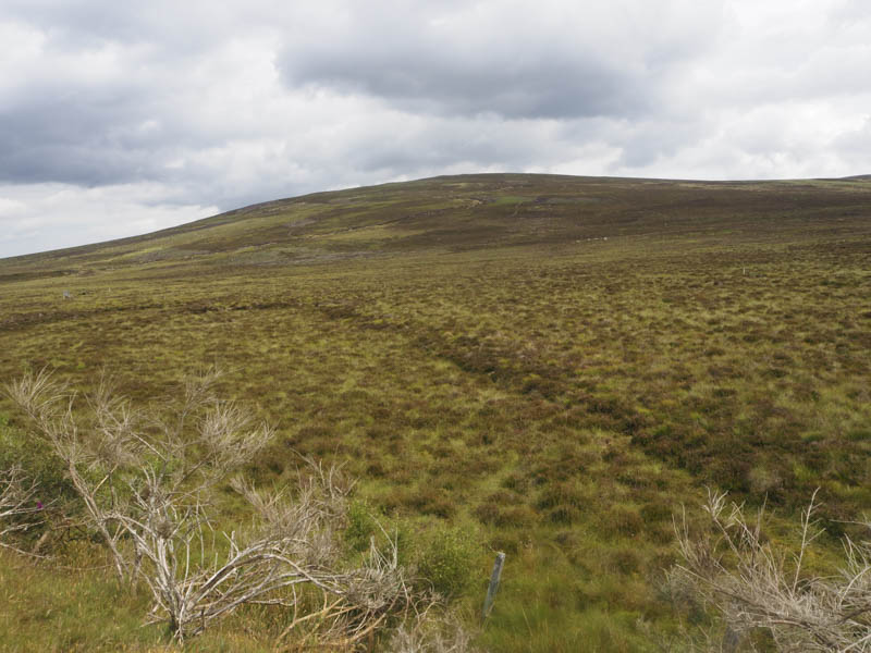 Carn na Glaisneach