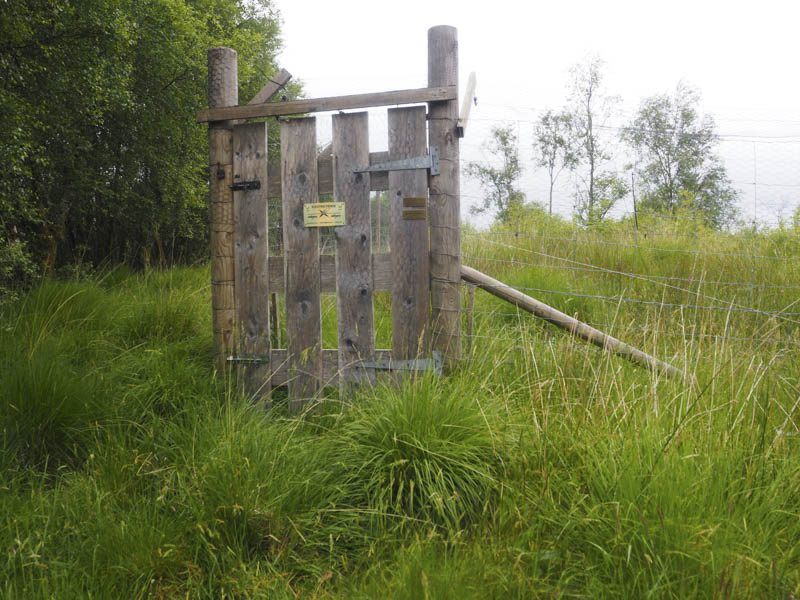 Summit Beinn Keil within enclosure