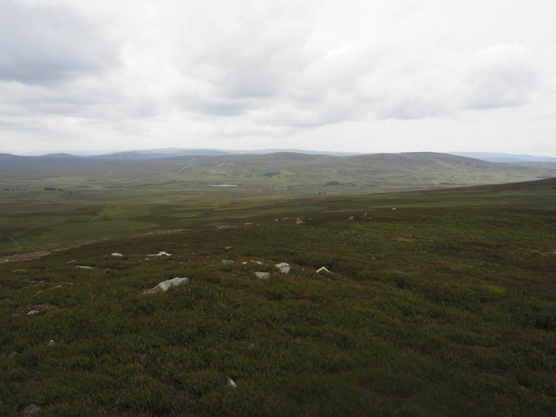 Dava Moor