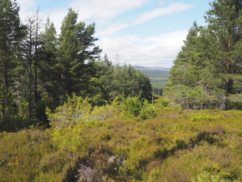 View north from near summit of Docharn Craig