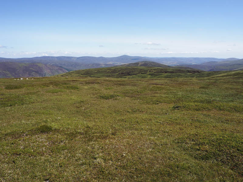 Wester Skuiley. Burnt Hill beyond