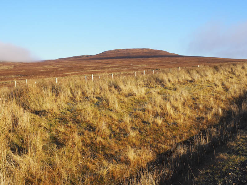 Carn Choire Riabhaich