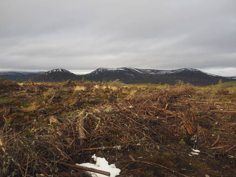 Meall an Tuirc, Bendeallt and Cnoc Gille Mo Bhrianaig