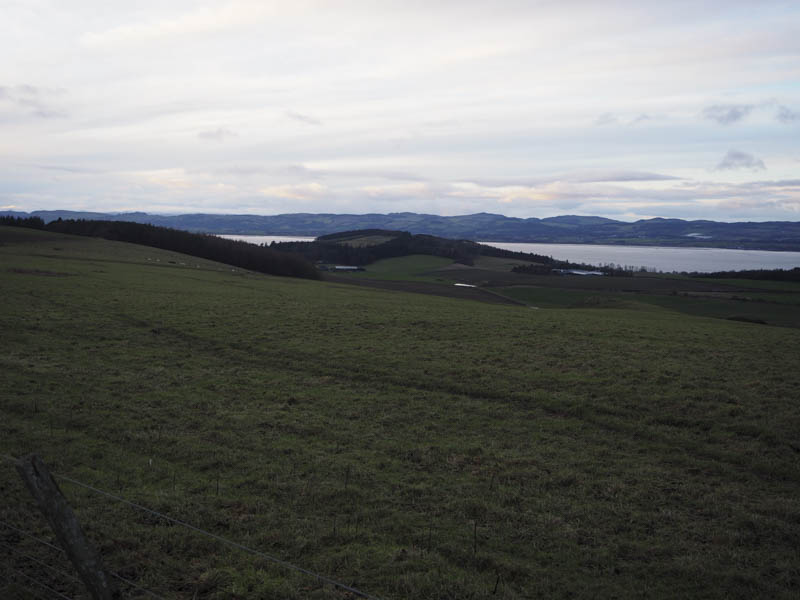Scurr Hill and Firth of Forth from Newton Hill
