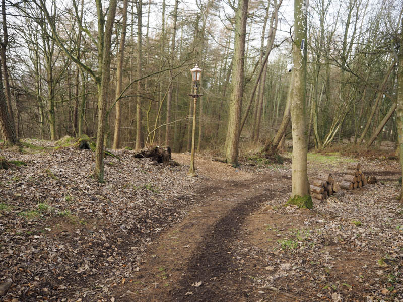 Lamp post and camera in woods of Airdit Hill
