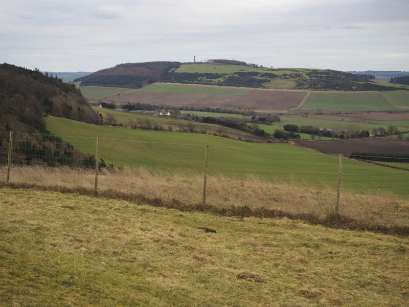 Hopetoun Monument on Mount Hill