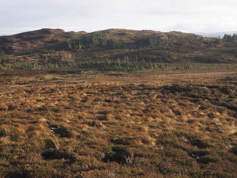 Meall na Sroine