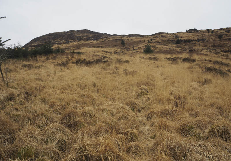 Cairngarroch and its rough vegetation