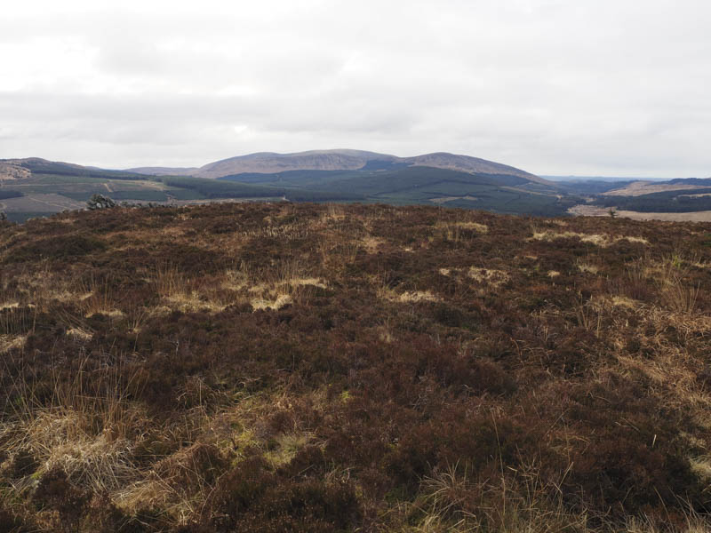 Dunveoch Hill and Glenlee Hill