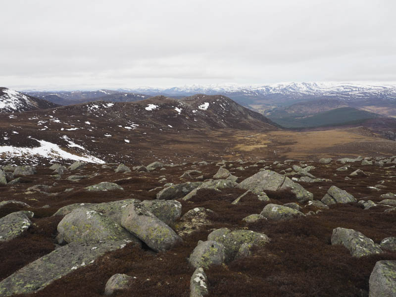 Cnapan Nathraichean and Cnap a' Choire Bhuidhe. Cairngorms beyond